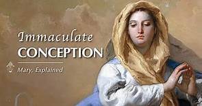 3. Immaculate Conception | Mary, Explained