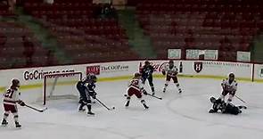Game Recap: Harvard Women's Ice Hockey vs. Yale