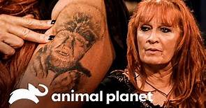 Así han cambiado los protagonistas de "Pitbulls & Convictos" | Pit bulls y convictos | Animal Planet