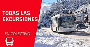 🔴 ¿Cómo hacer EXCURSIONES en COLECTIVO? Como viajar en transporte público en Bariloche
