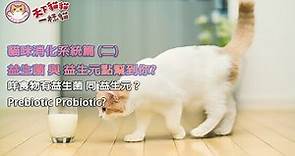 貓咪消化系統篇(二)益生菌 與 益生元點幫到你