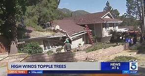 Santa Ana Winds topple trees, cause damage across Southern California