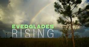 EVERGLADES RISING: Can we save Florida's embattled wetland ecosystem?