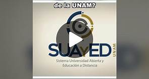 ¿Conoces el sistema abierto o a distancia de la UNAM? 🧐#suayed #unam #sistemaabiertounam #sistemaabierto #examenunam #convocatoriaunam #universidad