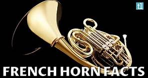 French Horn Facts And History