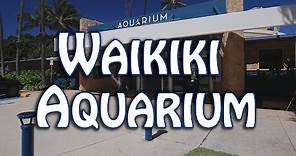 Waikiki Aquarium, Oahu Hawaii