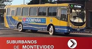 Suburbanos de Montevideo #1 - Ómnibus de Uruguay | Transporte Uruguayo
