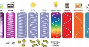 Ultraviolet (UV) Can Kill Bacteria & Viruses – Learn The Basics