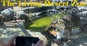 The Living Desert Zoo | Gardens - Palm Desert, California. MUST SEE destination in Coachella Valley
