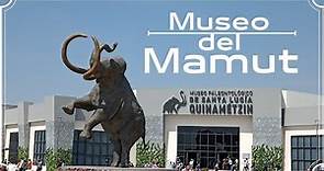 Museo Paleontológico de Santa Lucia 🐘 Así es el MUSEO DEL MAMUT