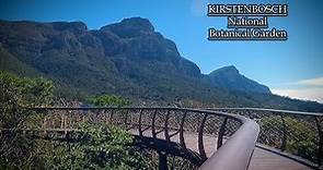 Kirstenbosch National Botanical Garden: Exploring Nature's Paradise in Cape Town, South Africa