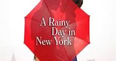 A Rainy Day in New York (2019) Online - Película Completa en Español - FULLTV