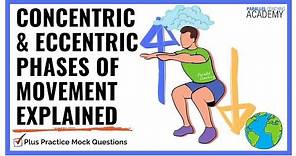 Concentric and Eccentric Phase of Movement