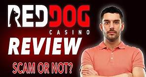 Red Dog Casino Review 🎰 Is Red Dog Casino a Safe Online Casino Choice in 2023?