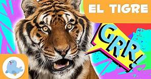 El tigre 🐯 Animales para niños 🌲 Episodio 12