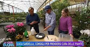 Luca Sardella, consigli per prendersi cura delle piante - La Volta Buona 18/01/2024