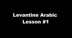 Levantine Arabic (Dialect) for Beginners - Lesson #1