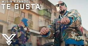 Yandel, Wisin - Te Gusta (Video Oficial) | Resistencia