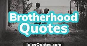 Top 15 Brotherhood Quotes and Sayings 2020 - (Truth About Brotherhoods)