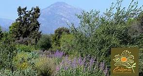 California Botanic Garden - Our Story