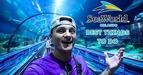 The Best Things to do at SeaWorld Orlando in 2023 | Coaster Capital of Orlando