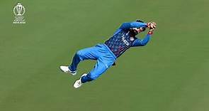 Rashid Khan 10 Best Catches & Run-Outs In Cricket 🔥