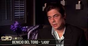 Benicio Del Toro 'Savages' Interview