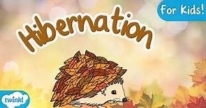 What is Hibernation? | Hibernation for Kids!