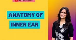 Anatomy of Inner Ear