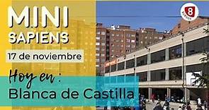 MINI SAPIENS | EPISODIO 3 | Colegio Blanca de Castilla