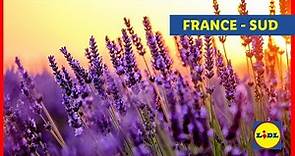 France - Sud | Lidl Voyages ✈️