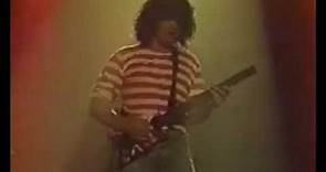 The reason Ed used Steinberger was its TransTrem.