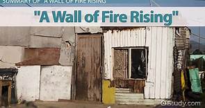 A Wall of Fire Rising by Edwidge Danticat | Overview & Analysis