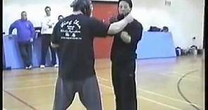 Wing Chun & Ju Jitsu - Samuel Kwok & Carlson Gracie