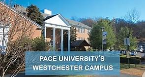 Westchester Campus | Pace International