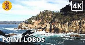 4K Point Lobos Hiking Tour Cypress Grove Trail | 🔊 Binaural Sound