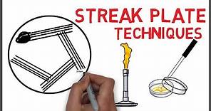 Streak Plate methods and techniques in Microbiology