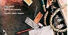 Personal Affairs (1979) Online - Película Completa en Español - FULLTV