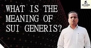 What is the meaning of Sui Generis?