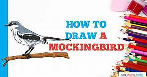 How to Draw a Mockingbird in a Few Easy Steps: Drawing Tutorial for Beginner Artists