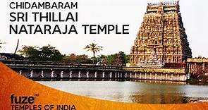 Chidambaram Sri Thillai Nataraja Temple | Temples of India | Fuze HD