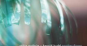 Robin Guthrie : : Harold Budd - Another Flower