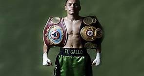 Juan Francisco Estrada - El Gallo (Highlights / Knockouts)