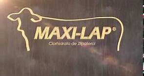 MAXI-LAP® Clorhidrato de Zilpaterol