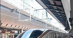 Hokuriku Shinkansen 🚄 Arriving at Tokyo Station | Japanese Bullet Train | JR Rail Pass Shinkansen