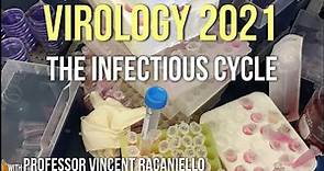 Virology Lectures 2021 #2 - The Infectious Cycle