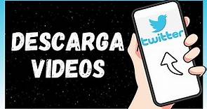 Cómo Descargar Vídeos De Twitter Gratis | 2024