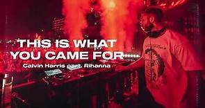 Calvin Harris, Rihanna - This Is What You Came For (Letra/Legenda)