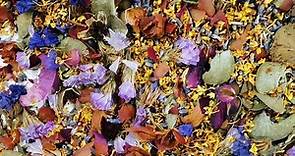 香港園藝治療協會–種出身心好健康・活動小寶盒：乾花小瓶二重奏 Flourishing with Gardening: Dried Flowers & Fragrant Flowers Bottles