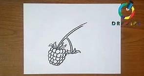 How to Draw a Raspberry: The Step-by-Step Guide